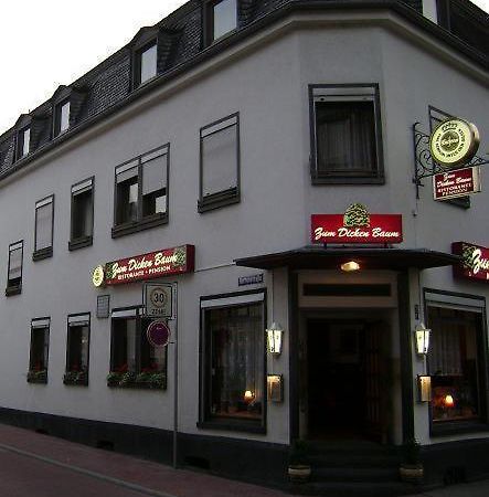 מאיין Hotel Zum Dicken Baum מראה חיצוני תמונה