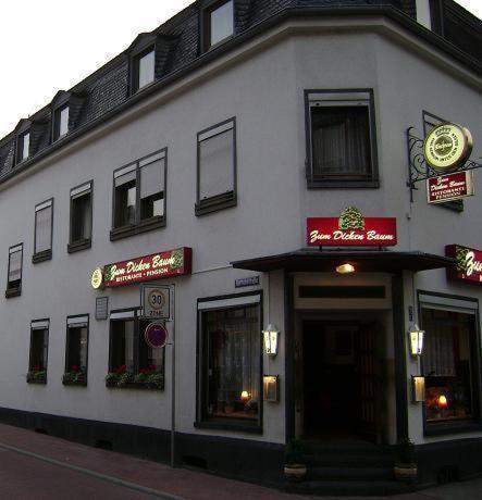 מאיין Hotel Zum Dicken Baum מראה חיצוני תמונה